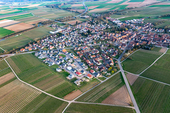 Insheim im Bundesland Rheinland-Pfalz, Deutschland von oben