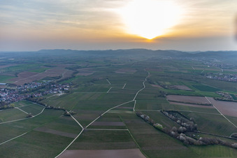 Dierbach im Bundesland Rheinland-Pfalz, Deutschland aus der Luft
