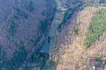 Luftaufnahme von Pfälzer Wald Forellen Inh. Stefan Erber in Eußerthal im Bundesland Rheinland-Pfalz, Deutschland