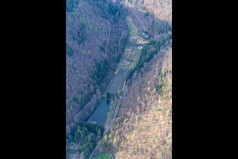 Schrägluftbild von Pfälzer Wald Forellen Inh. Stefan Erber in Eußerthal im Bundesland Rheinland-Pfalz, Deutschland