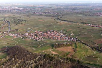Birkweiler im Bundesland Rheinland-Pfalz, Deutschland von oben gesehen