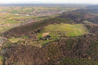 Schrägluftbild von Haardtrand-Wolfsteig in Pleisweiler-Oberhofen im Bundesland Rheinland-Pfalz, Deutschland