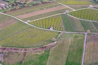 Haardtrand-Wolfsteig in Pleisweiler-Oberhofen im Bundesland Rheinland-Pfalz, Deutschland von oben