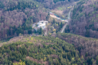 Celenus Parkklinik in Bad Bergzabern im Bundesland Rheinland-Pfalz, Deutschland von oben