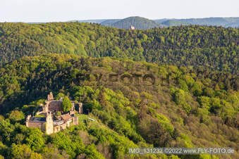 Madenburg in Eschbach im Bundesland Rheinland-Pfalz, Deutschland aus der Drohnenperspektive