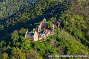 Madenburg in Eschbach im Bundesland Rheinland-Pfalz, Deutschland von einer Drohne aus