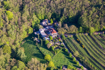 Gästehaus Sankt Annagut in Burrweiler im Bundesland Rheinland-Pfalz, Deutschland