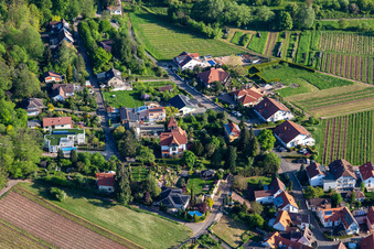 Vogelsang in Weyher in der Pfalz im Bundesland Rheinland-Pfalz, Deutschland