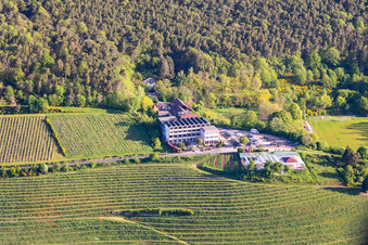 Hotel Haus am Weinberg im Ortsteil SaintMartin in Sankt Martin im Bundesland Rheinland-Pfalz, Deutschland