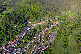 Einlaubstraße im Ortsteil SaintMartin in Sankt Martin im Bundesland Rheinland-Pfalz, Deutschland