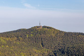 Kalmit in Maikammer im Bundesland Rheinland-Pfalz, Deutschland