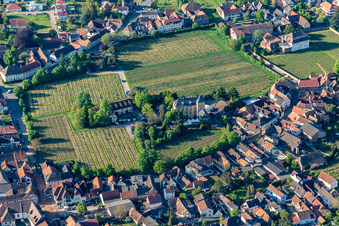 Hotel Schloß Edesheim, Privathotels Dr. Lohbeck GmbH & Co. KG im Bundesland Rheinland-Pfalz, Deutschland von oben