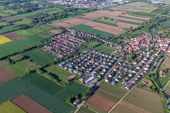 Ortsteil Dammheim in Landau in der Pfalz im Bundesland Rheinland-Pfalz, Deutschland aus der Luft betrachtet