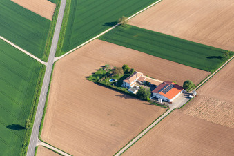 Bioland Weingut Neuspergerhof in Rohrbach im Bundesland Rheinland-Pfalz, Deutschland von oben