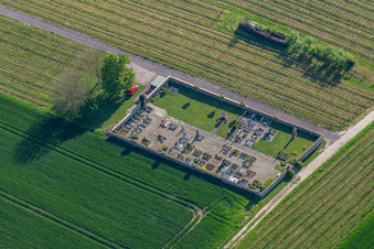 Friedhof im Ortsteil Kleinsteinfeld in Niederotterbach im Bundesland Rheinland-Pfalz, Deutschland