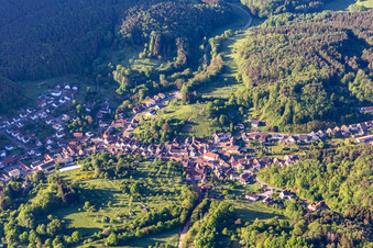 Luftaufnahme von Schwanheim im Bundesland Rheinland-Pfalz, Deutschland