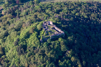 Burgruine Lindelbrunn in Vorderweidenthal im Bundesland Rheinland-Pfalz, Deutschland aus der Luft betrachtet