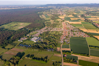 Drohnenaufname von Ortsteil Schaidt in Wörth am Rhein im Bundesland Rheinland-Pfalz, Deutschland
