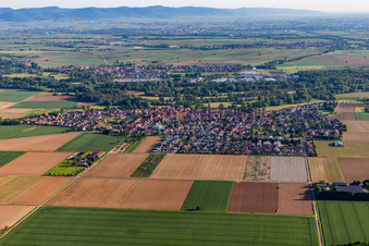 Luftaufnahme von Dorfansicht aus Süden in Steinweiler im Bundesland Rheinland-Pfalz, Deutschland