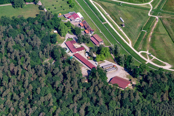 Hippodrome de la hardt Soc Races De Wissembourg im Ortsteil Altenstadt im Bundesland Bas-Rhin, Frankreich