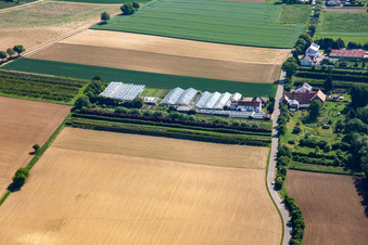 Luftaufnahme von Dieter Schmeißer Schnittgrün in Vollmersweiler im Bundesland Rheinland-Pfalz, Deutschland