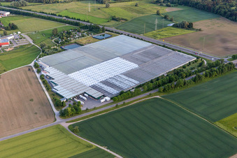 Reichenauer Gärtnersiedlung in Beuren an der Aach in Singen im Bundesland Baden-Württemberg, Deutschland