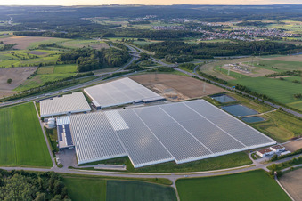 Reichenauer Gärtnersiedlung in Beuren an der Aach in Singen im Bundesland Baden-Württemberg, Deutschland von oben