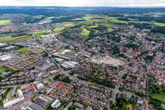 Trauben in Weingarten bei Ravensburg im Bundesland Baden-Württemberg, Deutschland