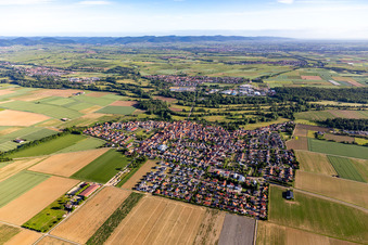 Ortsansicht aus Süden in Steinweiler im Bundesland Rheinland-Pfalz, Deutschland aus der Vogelperspektive