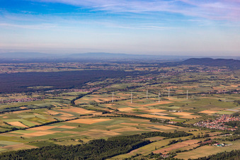 Südpfalz Panorama Viestrich und Bienwald in Freckenfeld im Bundesland Rheinland-Pfalz, Deutschland