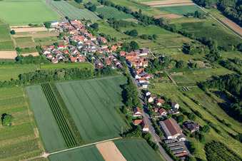 Schrägluftbild von Hergersweiler im Bundesland Rheinland-Pfalz, Deutschland