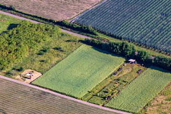 Idyll im Ortsteil Mühlhofen in Billigheim-Ingenheim im Bundesland Rheinland-Pfalz, Deutschland