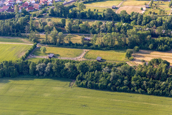 Mhou Straußenfarm in Rülzheim im Bundesland Rheinland-Pfalz, Deutschland