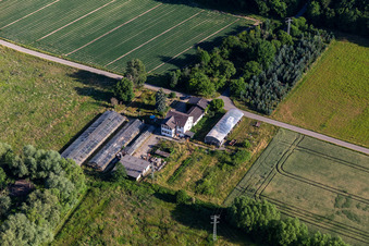 Gärtnerei Erlenhof in Erlenbach bei Kandel im Bundesland Rheinland-Pfalz, Deutschland