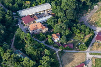 Pferdepension Wanzheimer Mühle in Rheinzabern im Bundesland Rheinland-Pfalz, Deutschland