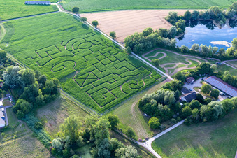 Luftbild von Maislabyrinth in Leimersheim im Bundesland Rheinland-Pfalz, Deutschland
