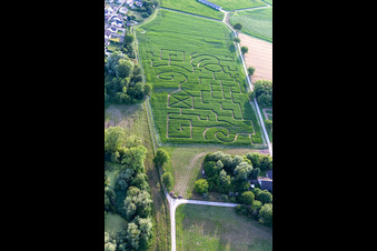 Luftaufnahme von Maislabyrinth in Leimersheim im Bundesland Rheinland-Pfalz, Deutschland
