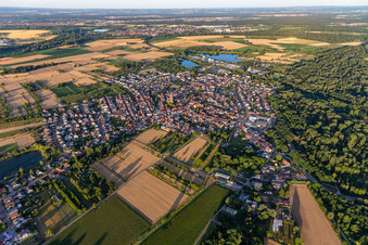 Ortsteil Rheinsheim in Philippsburg im Bundesland Baden-Württemberg, Deutschland aus der Luft