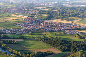 Drohnenbild von Ortsteil Mechtersheim in Römerberg im Bundesland Rheinland-Pfalz, Deutschland