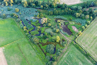 Luftbild von Biotop an der Queich im Ortsteil Niederhochstadt in Hochstadt im Bundesland Rheinland-Pfalz, Deutschland
