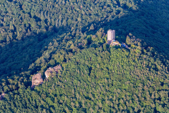 Luftbild von Burgruine Scharfenberg mit Gerüst in Leinsweiler im Bundesland Rheinland-Pfalz, Deutschland