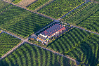 Weingut Vögeli im Ortsteil Wollmesheim in Landau in der Pfalz im Bundesland Rheinland-Pfalz, Deutschland