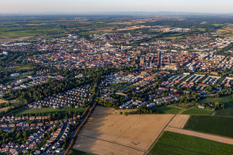 Wollmesheimer Straße in Landau in der Pfalz im Bundesland Rheinland-Pfalz, Deutschland