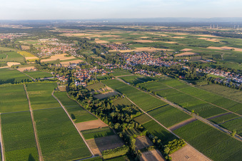 Drohnenaufname von Ortsteil Ingenheim in Billigheim-Ingenheim im Bundesland Rheinland-Pfalz, Deutschland
