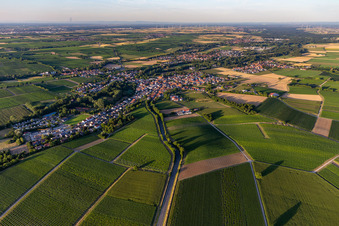 Ortsansicht aus Südwesten im Ortsteil Ingenheim in Billigheim-Ingenheim im Bundesland Rheinland-Pfalz, Deutschland