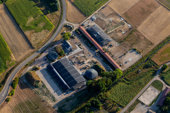 Erlenhof in Neupotz im Bundesland Rheinland-Pfalz, Deutschland