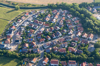 Im Niederhorst in Leimersheim im Bundesland Rheinland-Pfalz, Deutschland