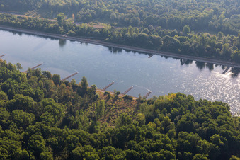 Trockengefallene Buhnen im Rhein bei Niedrigwasser in Leimersheim im Bundesland Rheinland-Pfalz, Deutschland