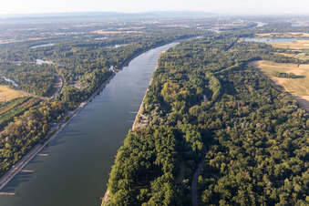Luftbild von Trockengefallene Buhnen im Rhein bei Niedrigwasser in Leimersheim im Bundesland Rheinland-Pfalz, Deutschland