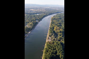 Luftaufnahme von Trockengefallene Buhnen im Rhein bei Niedrigwasser in Leimersheim im Bundesland Rheinland-Pfalz, Deutschland
